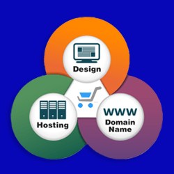 Domain & hosting entire year